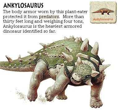 Ankylosaurus