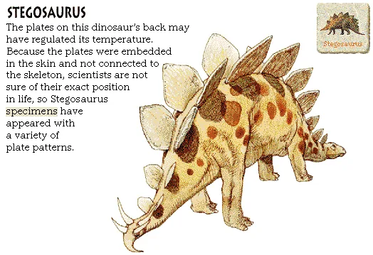 Stegosaurus