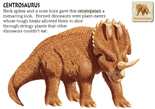 Centrosaurus
