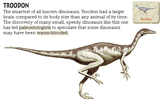 Troodon