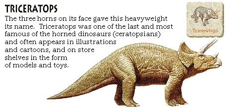 Triceratops