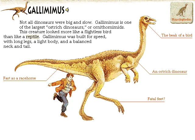Gallimimus