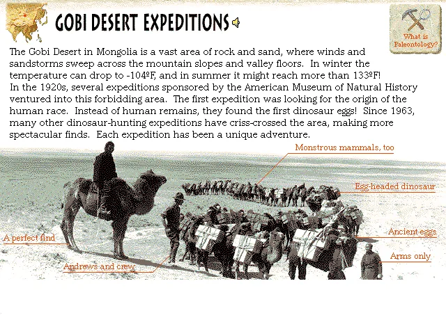 Gobi Desert Expeditions