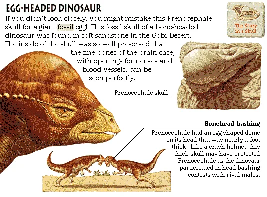 Egg-Headed Dinosaur