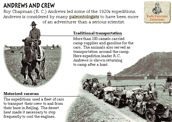 Andrews and Crew