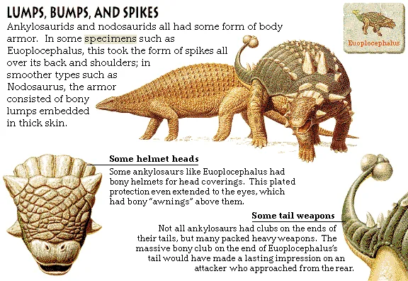 Lumps, Bumps, and Spikes