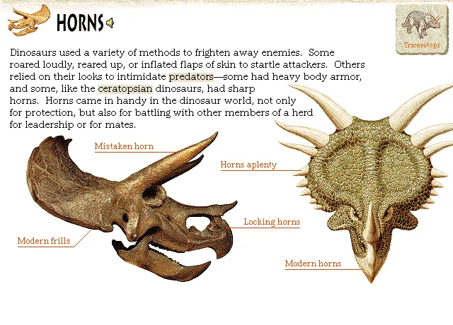 Horns