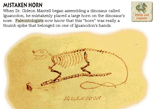 Mistaken Horn
