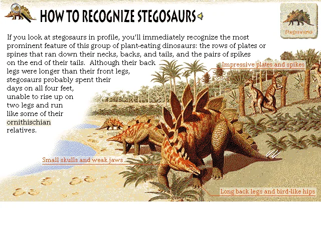 How to Recognize Stegosaurs