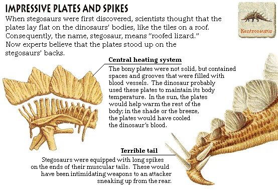 Impressive Plates and Spikes