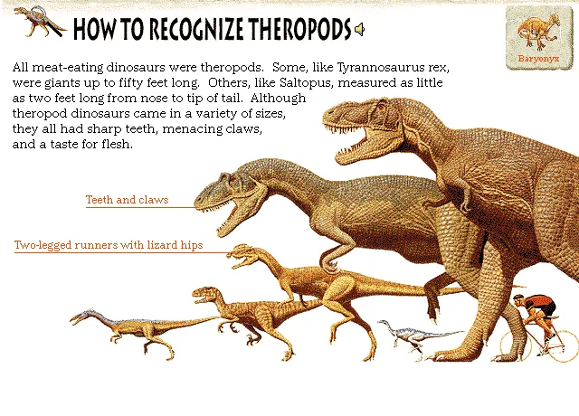 How to Recognize Theropods