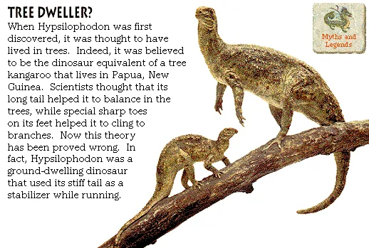 Tree Dweller?