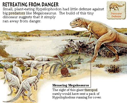 Retreating from Danger