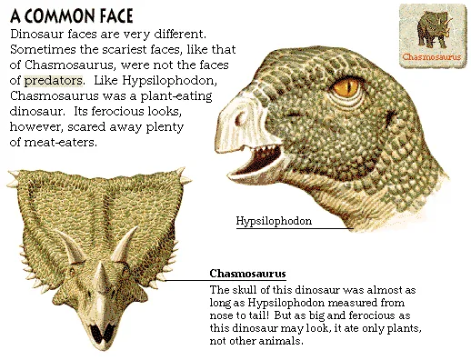 A Common Face