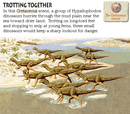 Trotting Together