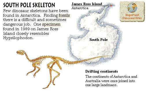 South Pole Skeleton