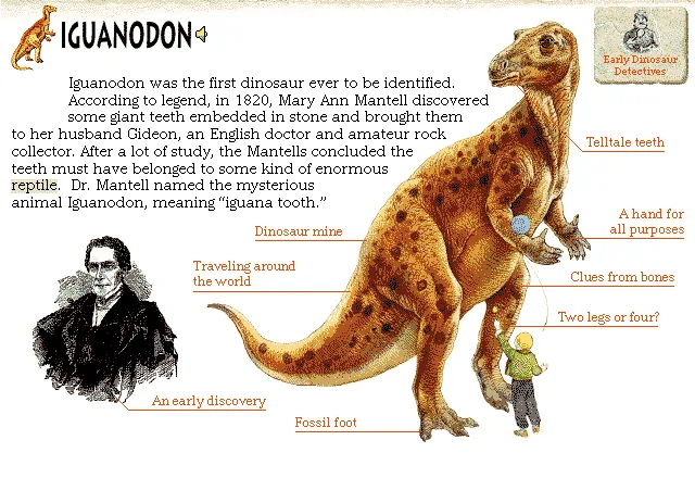 Iguanodon