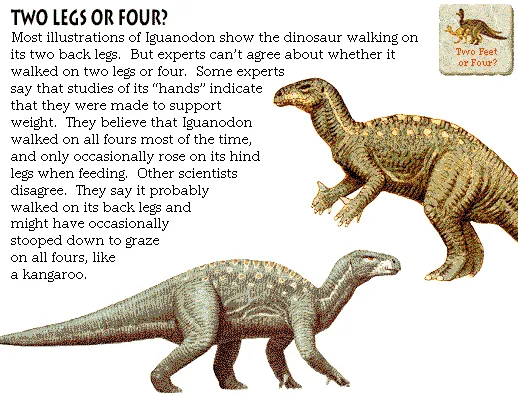 Two Legs or Four?