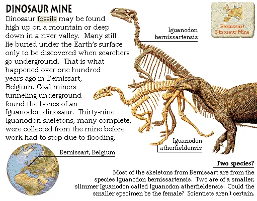 Dinosaur Mine