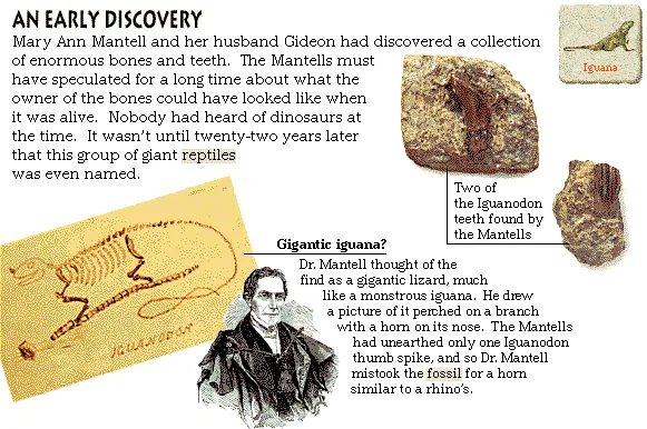 An Early Discovery