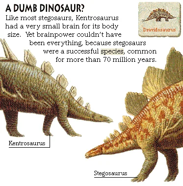 A Dumb Dinosaur?