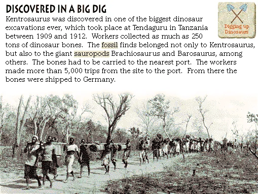 Discovered in a Big Dig