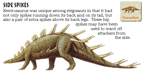 Side Spikes