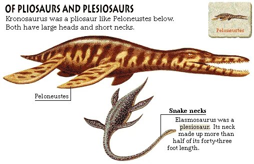 Of Pliosaurs and Plesiosaurs
