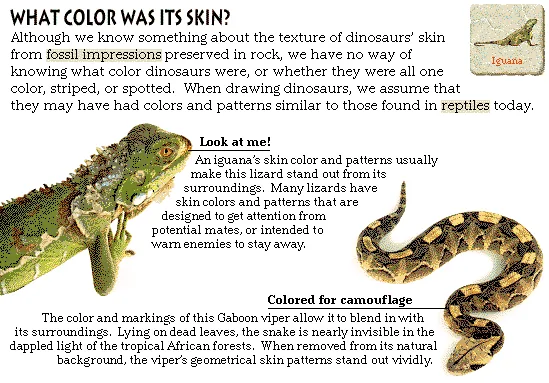 What Color Was Its Skin?