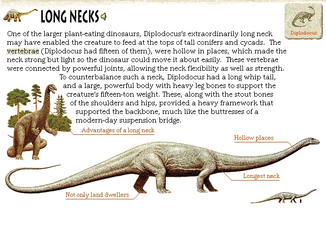 Long Necks