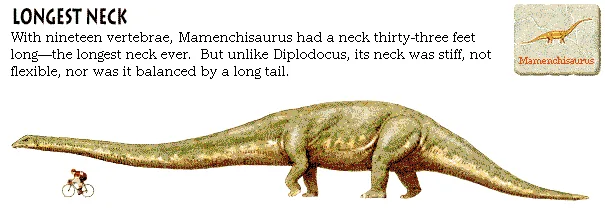 Longest Neck
