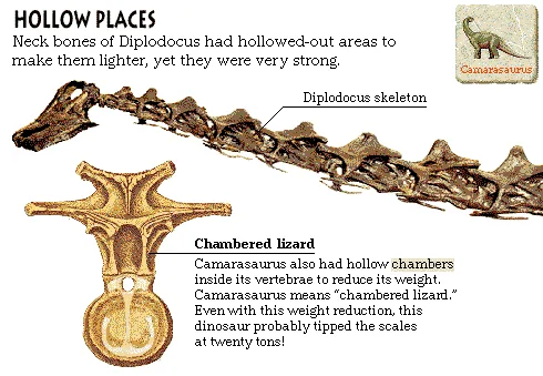 Hollow Places