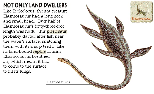 Not Only Land Dwellers