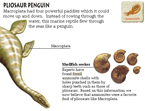 Pliosaur Penguin