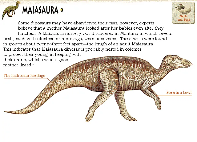 Maiasaura