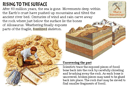 Rising to the Surface