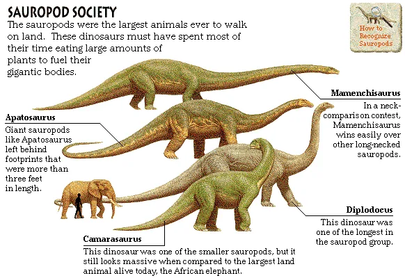 Sauropod Society