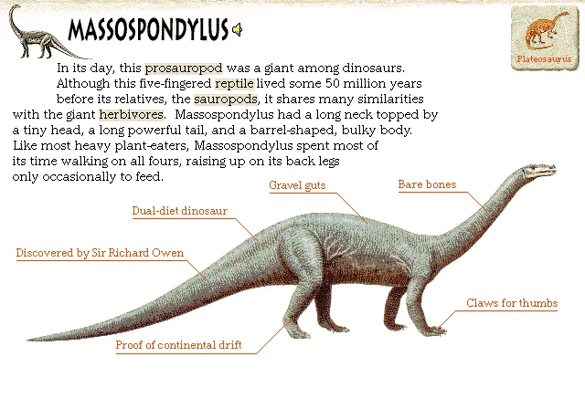 Massospondylus