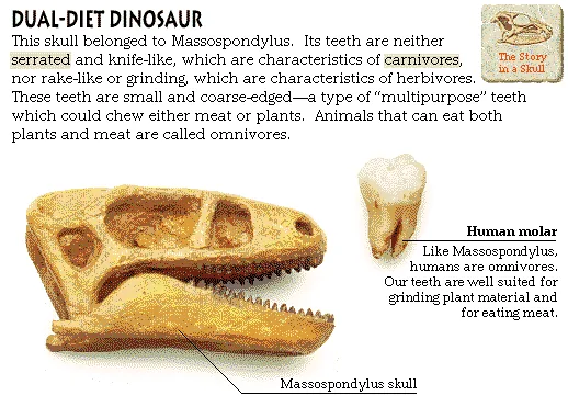 Dual-Diet Dinosaur