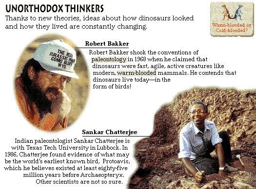 Unorthodox Thinkers