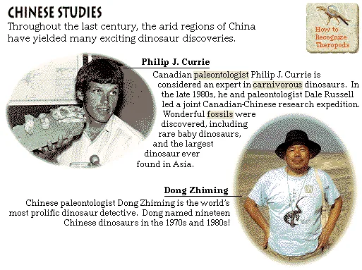 Chinese Studies