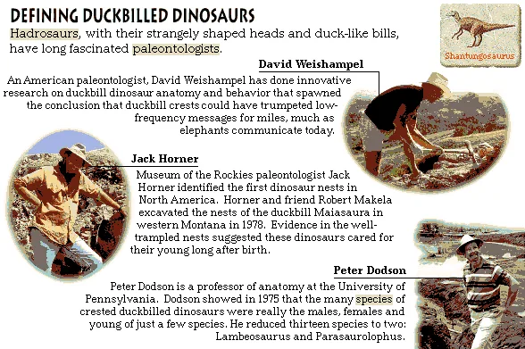 Defining Duckbilled Dinosaurs