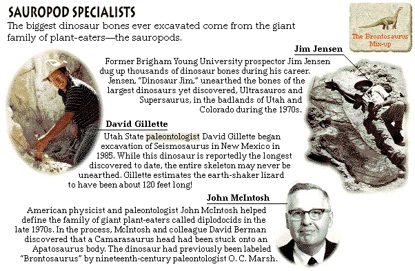Sauropod Specialists