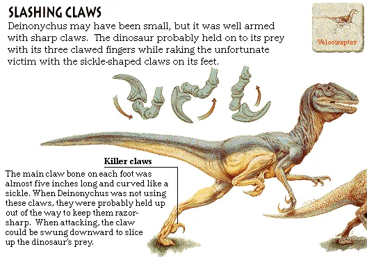 Slashing Claws