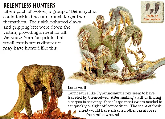 Relentless Hunters