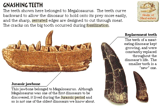 Gnashing Teeth