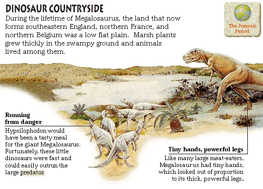 Dinosaur Countryside