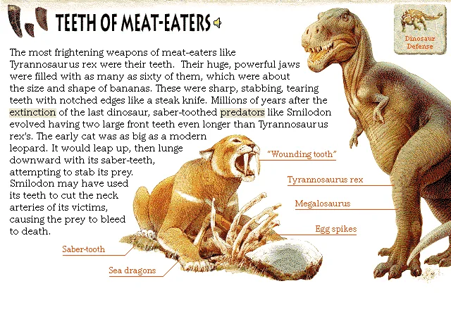 Teeth of Meat-Eaters