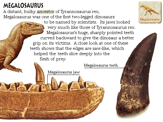 Megalosaurus