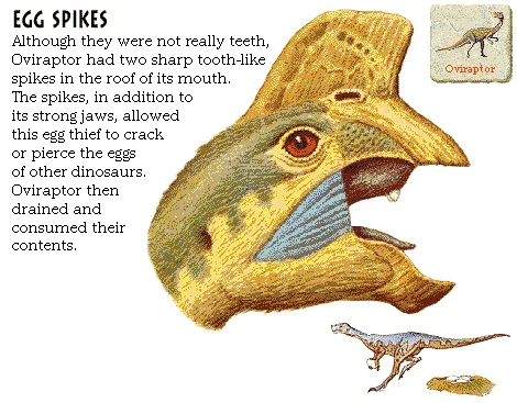 Egg Spikes